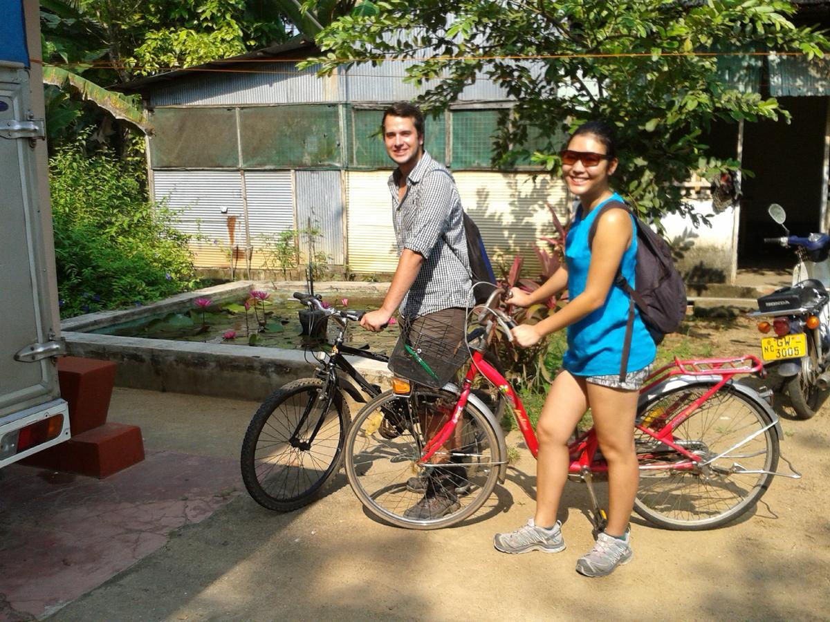 Luxman Guest House Polonnaruwa Ngoại thất bức ảnh